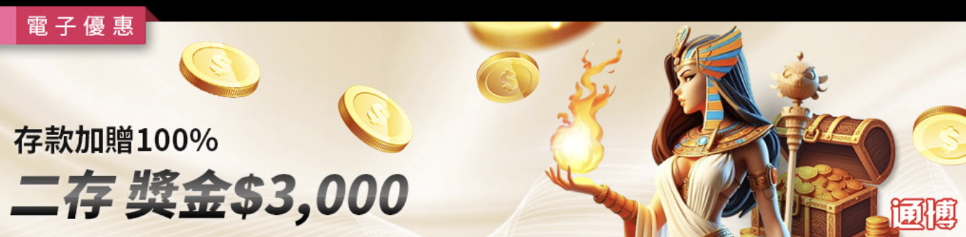 電子限定二存100%